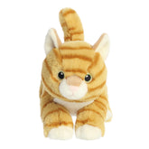 Aurora® - Eco Nation™ - 8.5" Orange Tabby